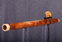 Tasmanian Blackwood Burl Native American Flute, Minor, Low F-4, #Q14F (5)